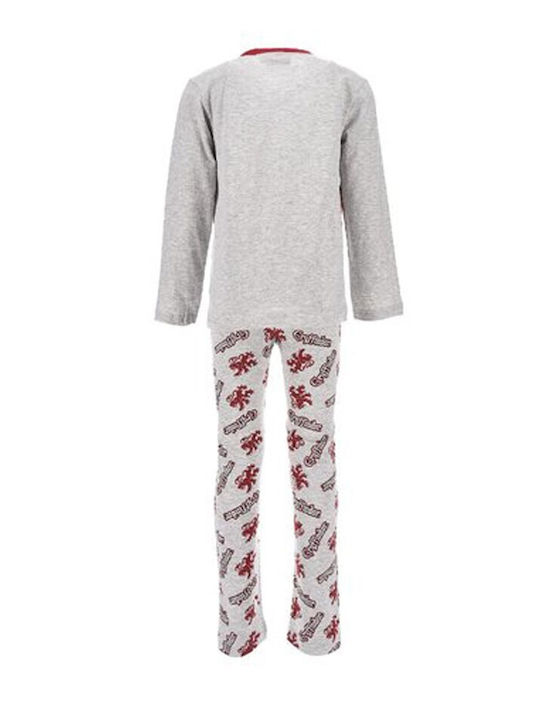 Warner Bros Kids' Pajamas Winter Gray