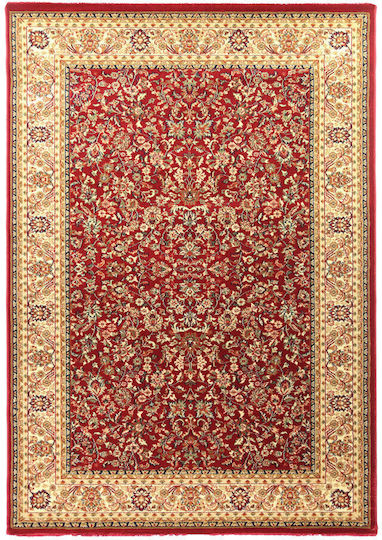 Royal Carpet Olympia 8595E Teppich Rechteckig Synthetisch,Polyester/Cotton/Leather Red