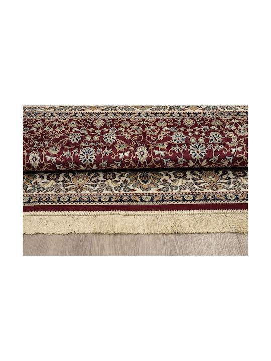 Newplan 240/301220 Rug Rectangular with Fringes Sonia