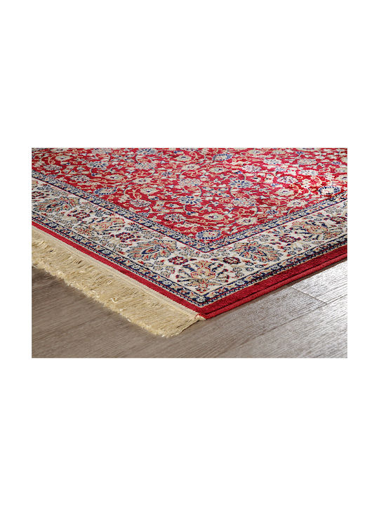 Newplan 240/301220 Rug Rectangular with Fringes Sonia
