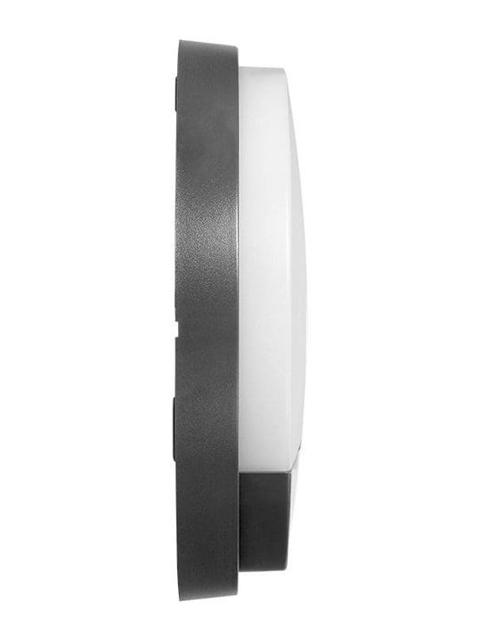 Redled Стенно Външно Плафонно Осветление LED IP54 15W с Естествено бяло Светлина