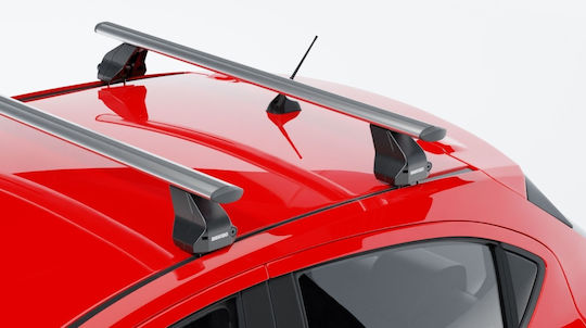 Menabo 130cm. pentru Peugeot Bipper 2008+ (Set cu picioare)