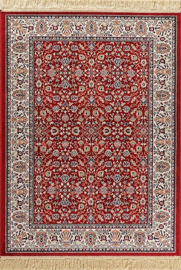 Newplan Sonia 240/301220 Rug Rectangular with Fringes Sonia