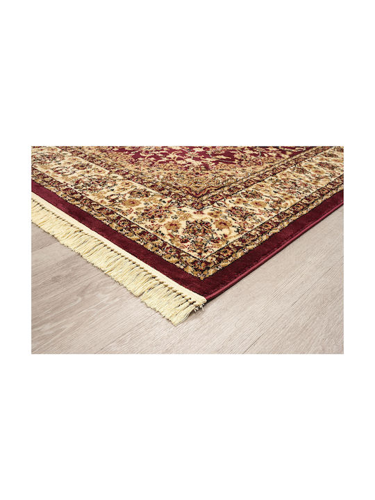 Newplan Persia 5649 Rug Rectangular with Fringes Burgundy