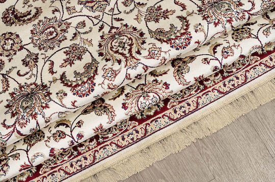 Newplan Sonia 553/301440 Covor Rectangular Multicolor