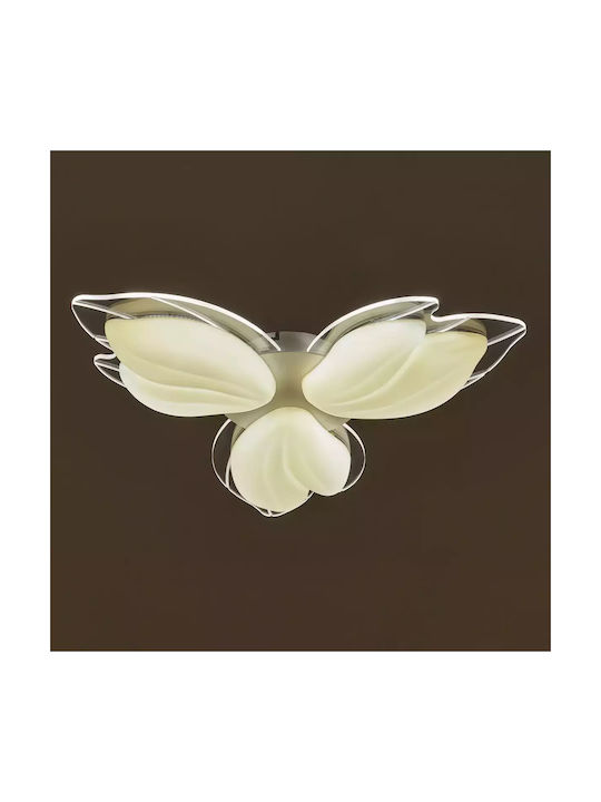 Ceiling Light LED