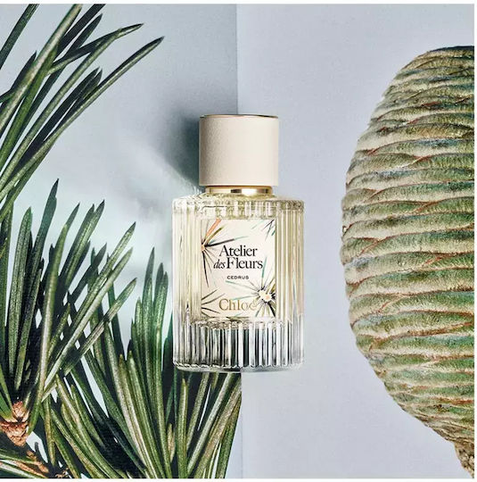 Chloé Atelier Des Fleurs Cedrus Eau De Parfum Femei 50 Ml