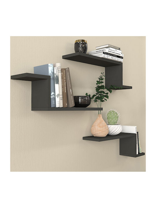 Lowa Wall Shelves Anthracite (3 Pieces) 57.7x14.5x18cm