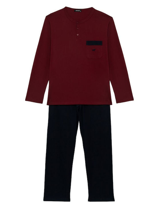 Minerva Bull Bordeaux