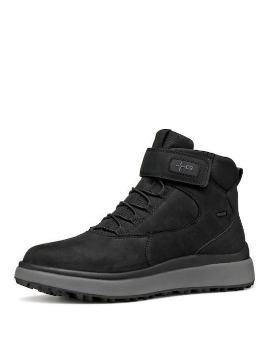 Geox Geox