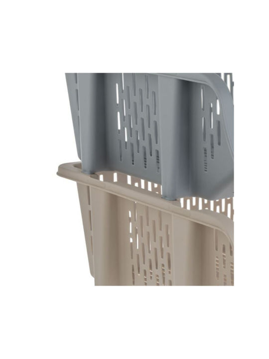 Veranstalter Gray 8695737100530
