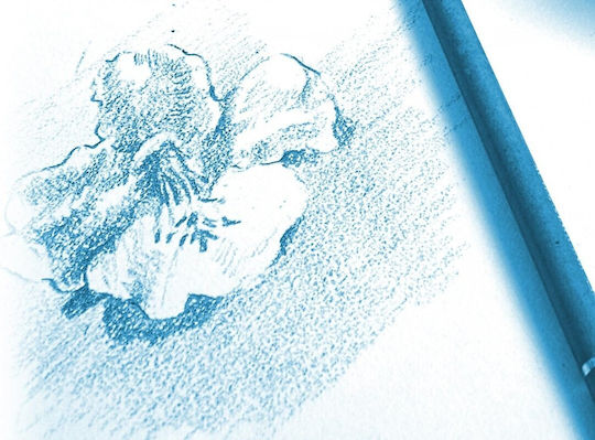 Clairefontaine Μπλοκ Σχεδίου A4 21x29.7cm