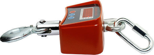 Electronic Professional Hanging Scale with Weighing Capacity of 1000kg and Division 500gr