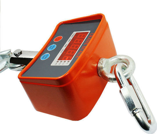 Electronic Professional Hanging Scale with Weighing Capacity of 1000kg and Division 500gr