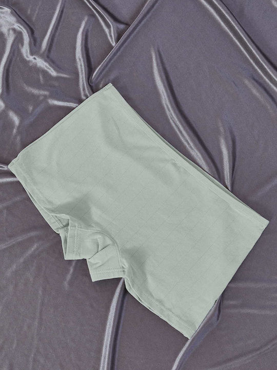 Women's Boxer Bay Leaf Mint
