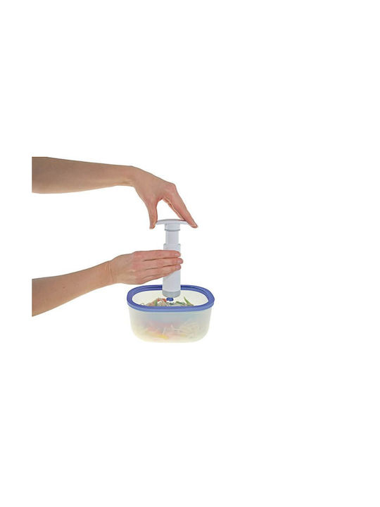 Status Microwave Glass Lunch Box Lilac 4pcs