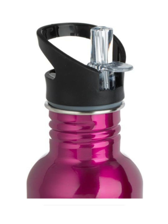 Wasserflasche Rostfreier Stahl 500ml
