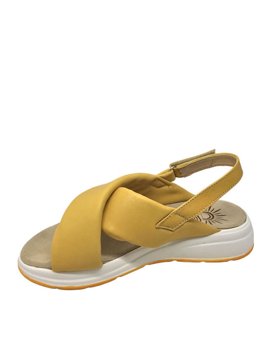 Sunny Sandal Sunny Sandal