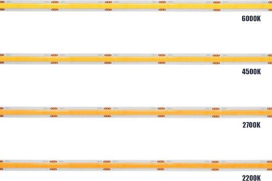 GloboStar Ταινία LED Bee 24V Θερμό Λευκό Φως 5m Τύπου COB
