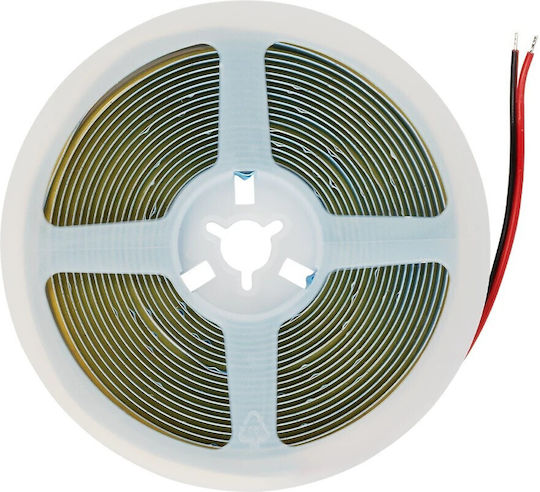 GloboStar Ταινία LED Bee 24V Ψυχρό Λευκό Φως 5m Τύπου COB