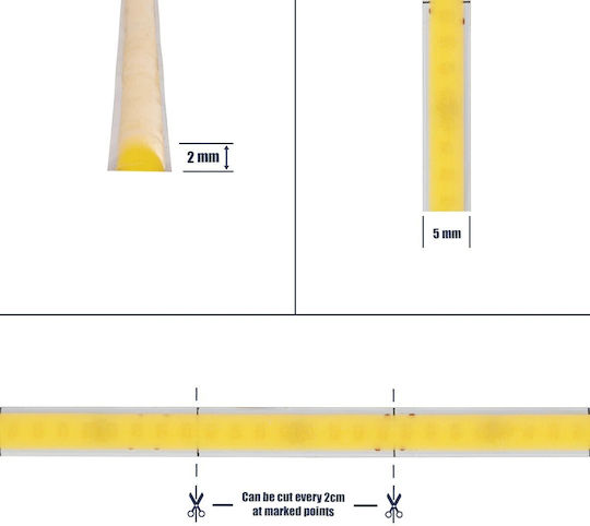 GloboStar LED Strip Bee 24V Cold White Light 5m Type COB