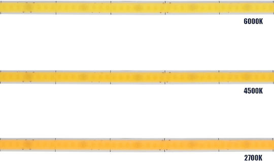 GloboStar LED Strip Bee 24V Cold White Light 5m Type COB