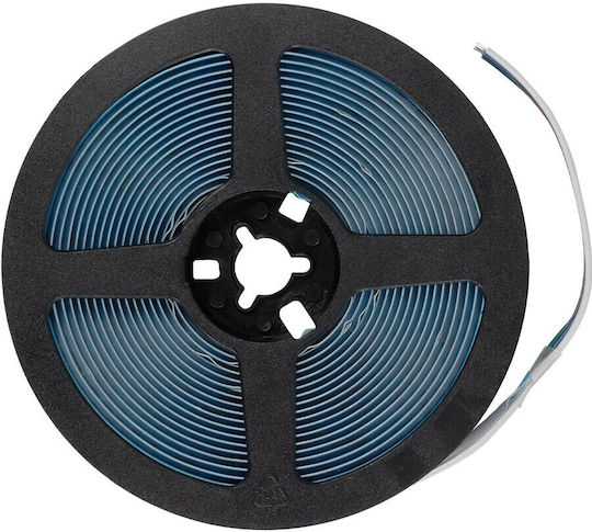 GloboStar Bee LED Strip 24V RGBWW Light 5m COB Type