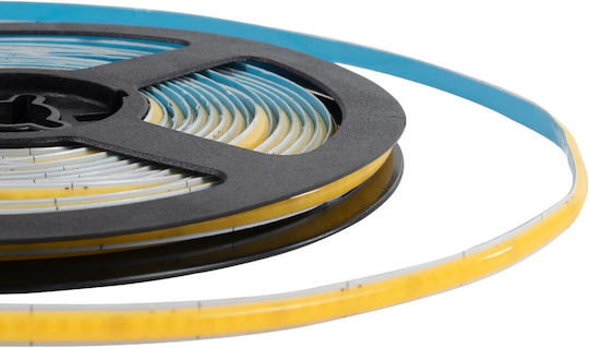 GloboStar Ταινία LED Bee 24V Φυσικό Λευκό Φως 5m Τύπου COB