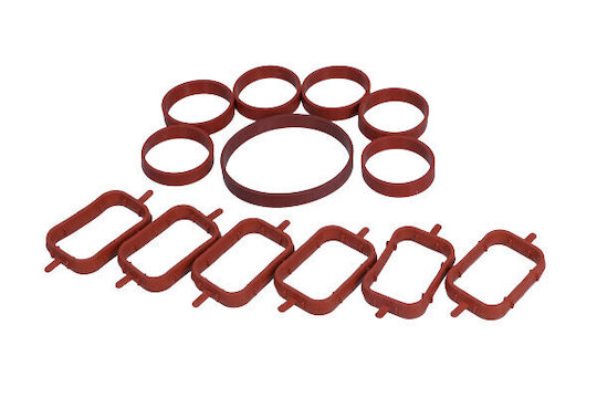 Reinz Intake Manifold Gasket Set