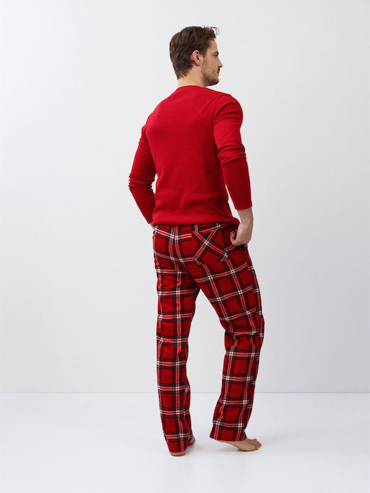 Aruelle Red