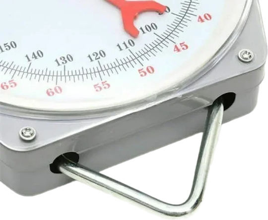 Professional Hanging Scale with Weighing Capacity of 150kg and Division 500gr