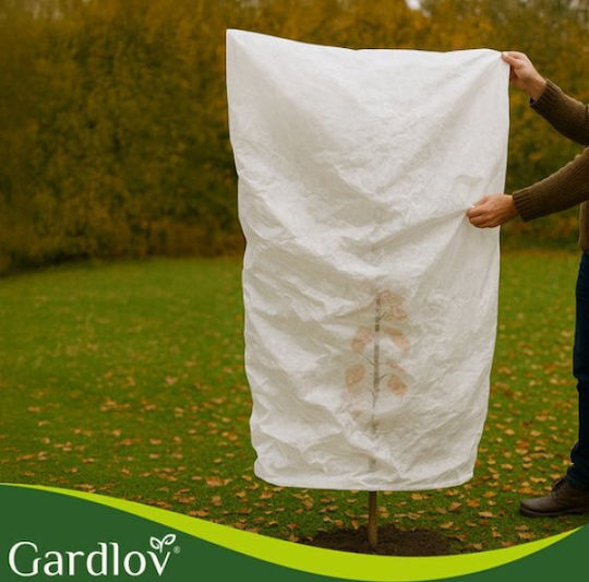 Gardlov Plant Hood 1.6x1m 3 Pieces 26549 18487-0