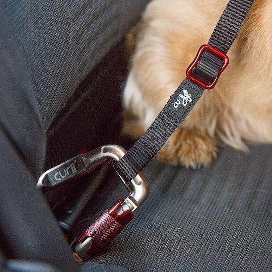 Curli Sicherheitsgurt Autozubehör für Hunde