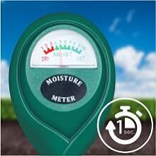 Analog Thermometer