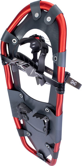 Atlas Treeline Men's Snowshoes Grey Red