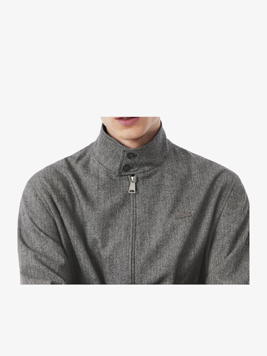 Jacket Grey