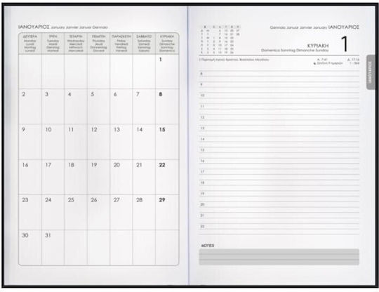 Innostat Ημερήσιο Planner 2026 Μπορντό 14x21εκ.