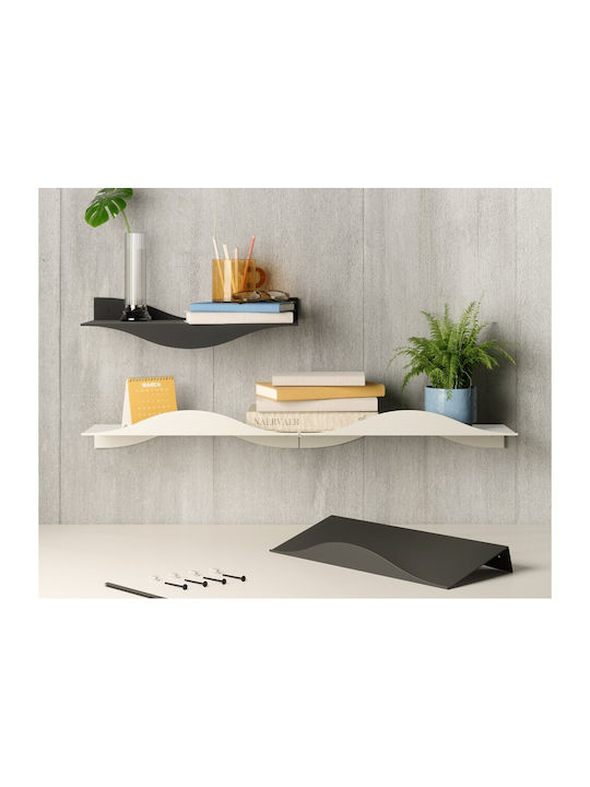 Shelves Wall Black 2pcs 43x18x10cm