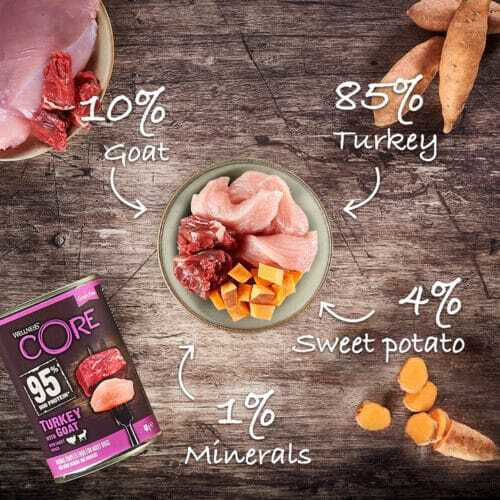 Wellness Core Duo Protein 95% Υγρή Τροφή Σκύλων σε Κονσέρβα με Γαλοπούλα χωρίς Σιτηρά 400gr