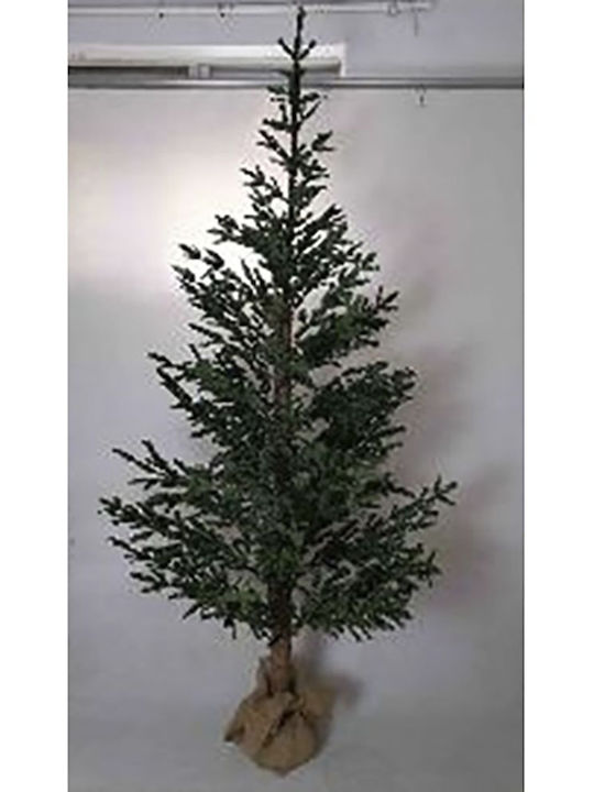 Коледно дърво Angel Pine Коледно дърво Angel Pine