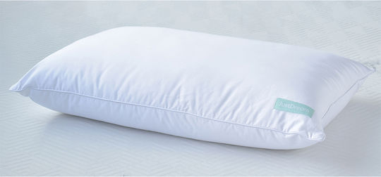 Palamaiki White Comfort Memory Foam Ανατομικό 49x68x14cm