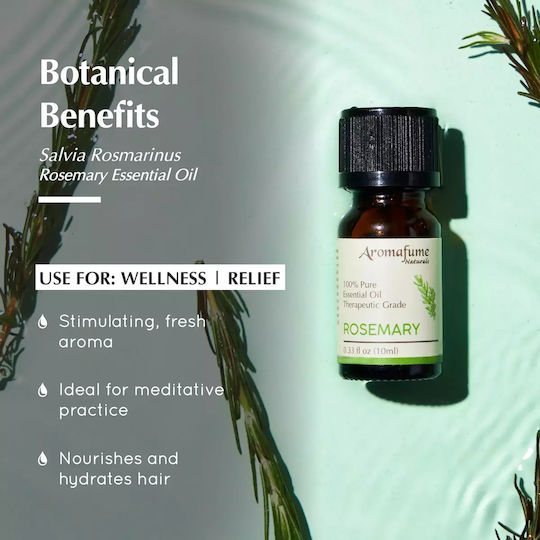 Φυσικό Αιθέριο Έλαιο Δεντρολίβανου Rosemary Natural Essential Oil 10ml