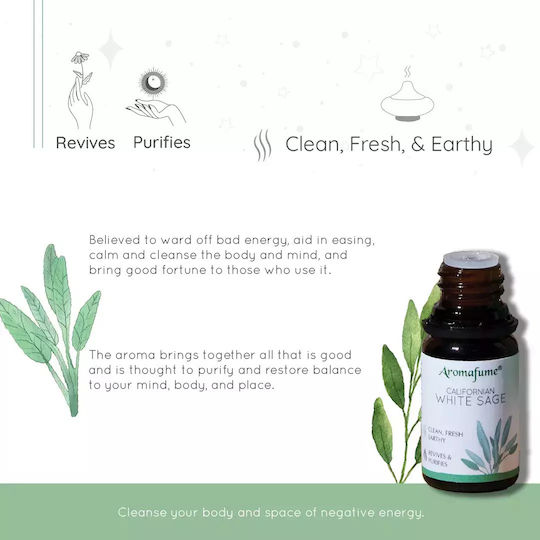 Aromatherapie Ätherische Öle Geschenkset 6 Mischungen Ätherischer Öle 10ml