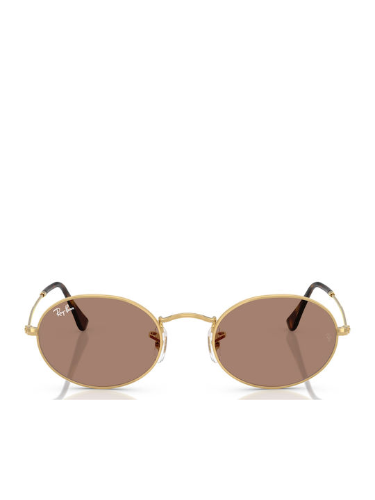 Ray Ban Γυαλιά Ηλίου με Μεταλλικό Σκελετό Ray Ban Γυαλιά Ηλίου με Μεταλλικό Σκελετό