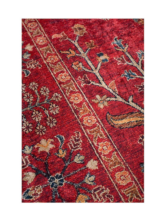Βιοκαρπέτ Nomadian 5095 Χαλί Ορθογώνιο Bordo-multi 120x180cm