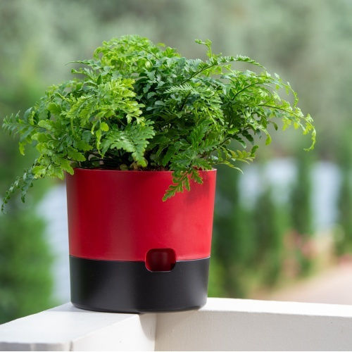 Viomes Vita Self-watering Pot Plastic 20x20x18cm.
