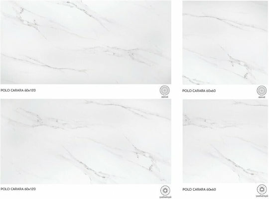 Placă Polo Carrara 60x120 Alb Lucios Rectificat