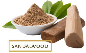 Aroma Diffuser Oil Santaloxylo Sandalwood