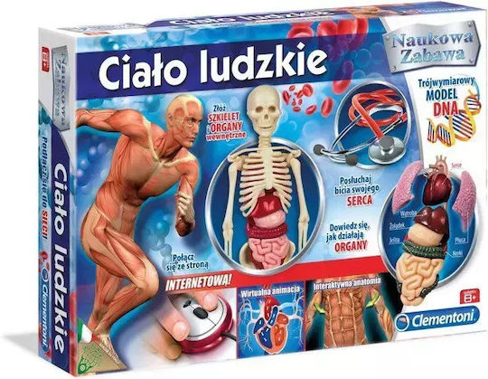 Clementoni Scientific Fun Human Body 60249