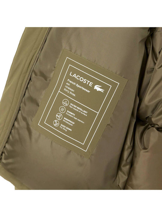 Jacke Wasserdicht Olive